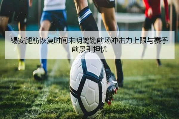 锡安腿筋恢复时间未明鹈鹕前场冲击力上限与赛季前景引担忧