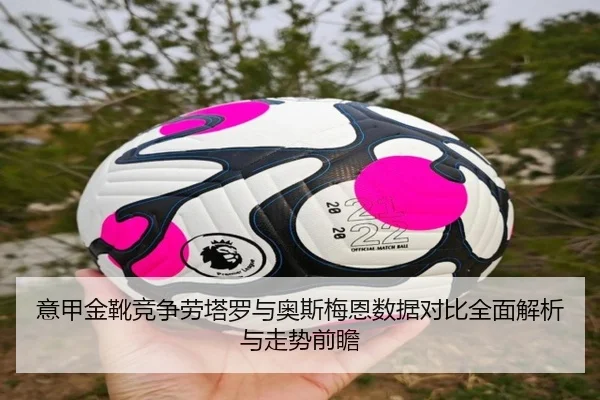 意甲金靴竞争劳塔罗与奥斯梅恩数据对比全面解析与走势前瞻